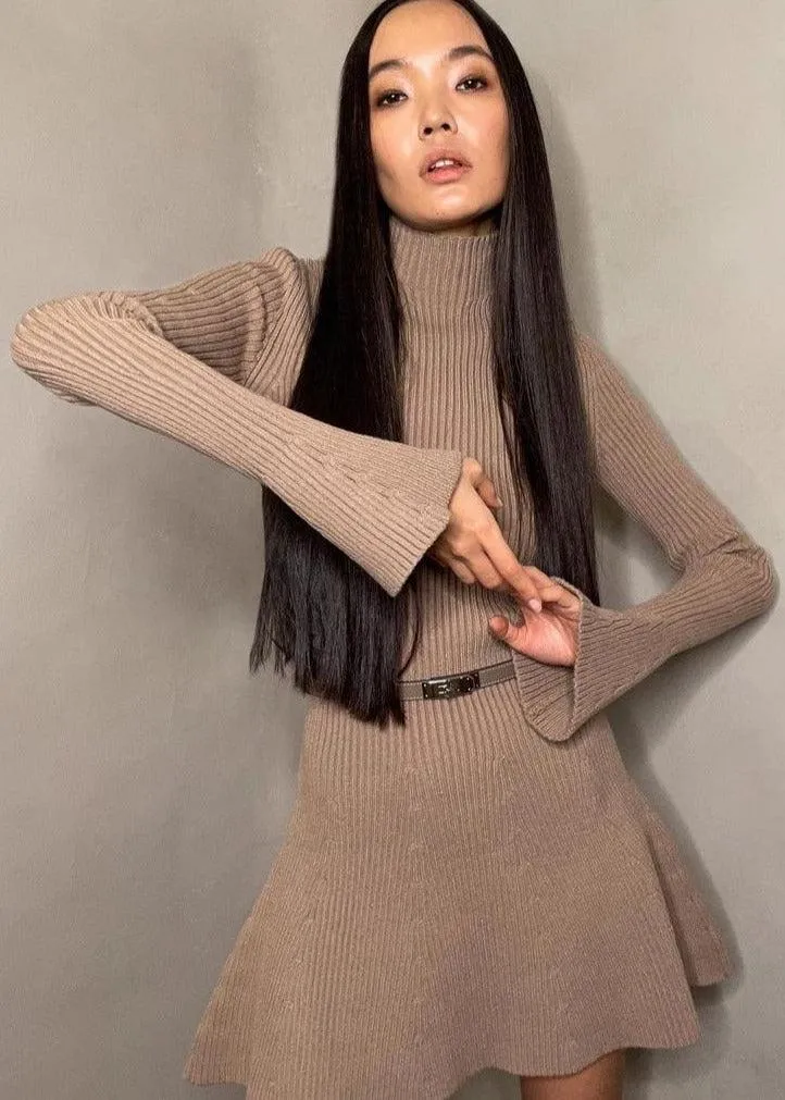 Autumn Chic - Ribbed Knit Turtleneck A-Line Dress