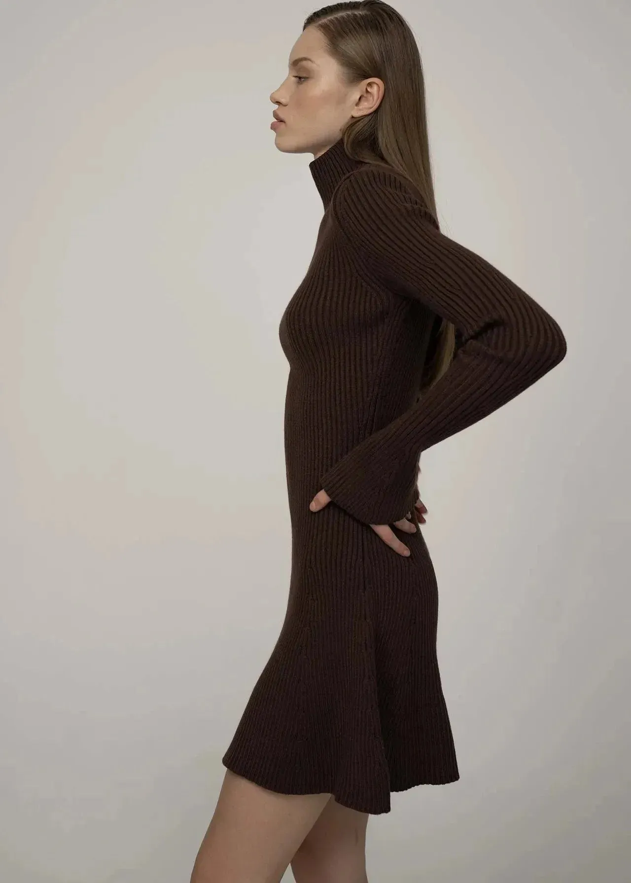 Autumn Chic - Ribbed Knit Turtleneck A-Line Dress