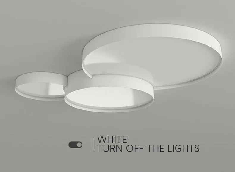 Eclipse Ceiling Light